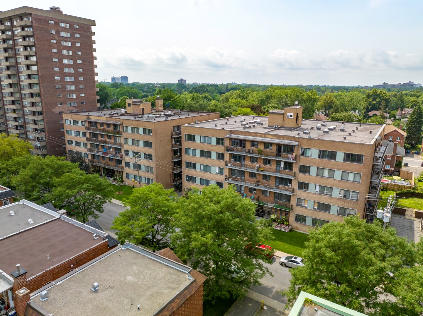 Le Macdonald - Image 9